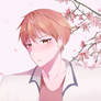 Kyo Sohma Fruits Basket