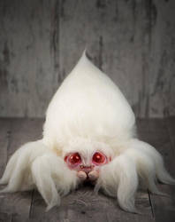 Giant Albino Cotton-Candy Spider