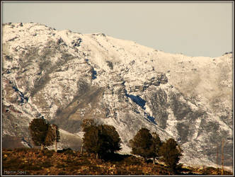 Precordillera