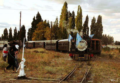 El tren cerca de la estacion