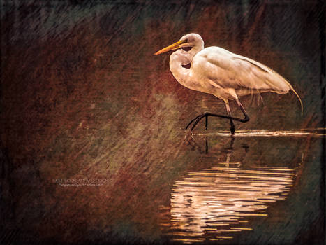 Great Egret Grunge