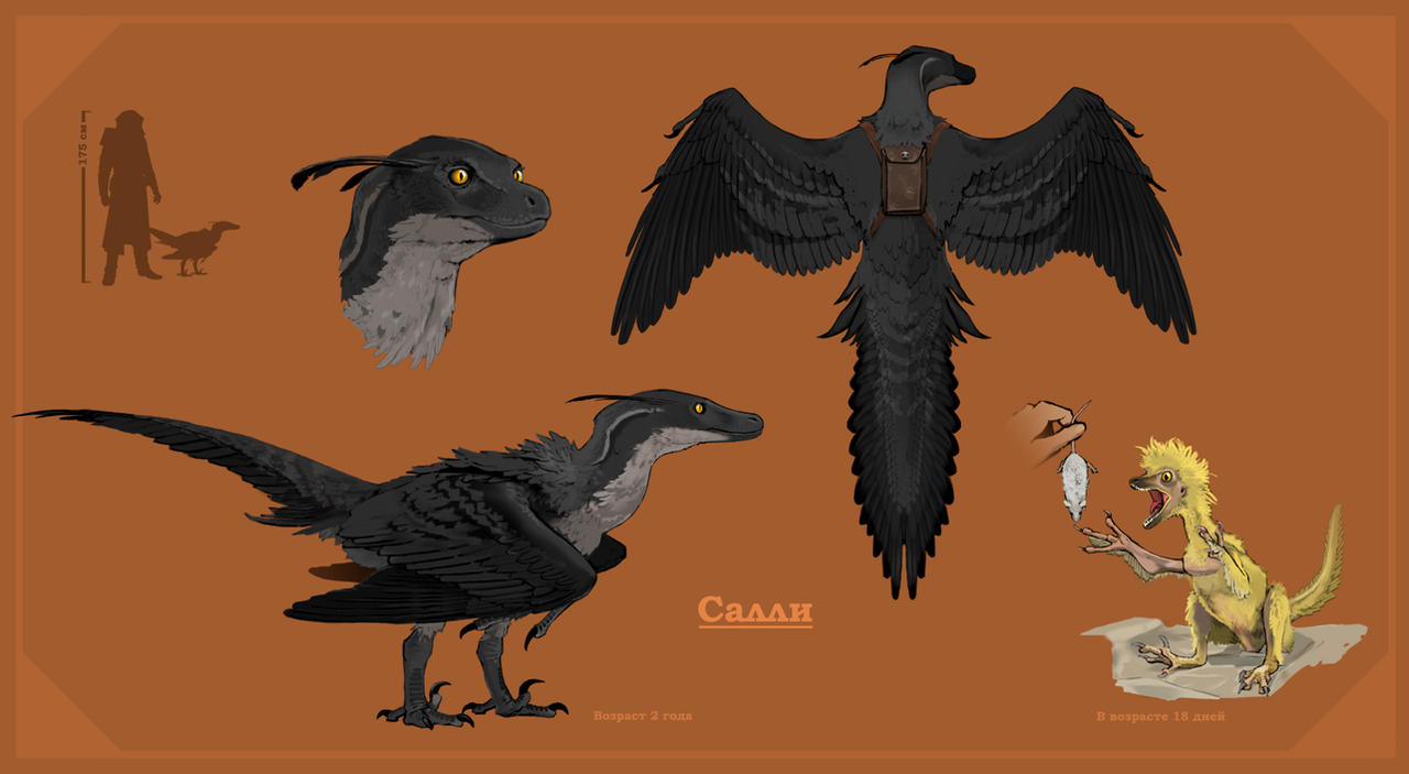 Sally by Monopteryx on DeviantArt