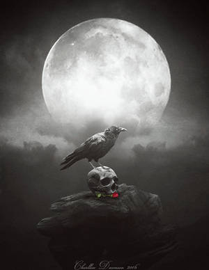 Dark crow. by CharllieeArts