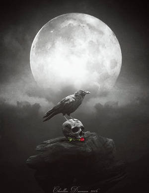 Dark crow. by CharllieeArts Dark crow. by CharllieeArts