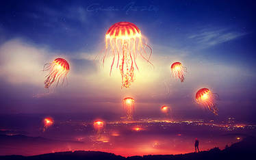 The valley of the jellyfish