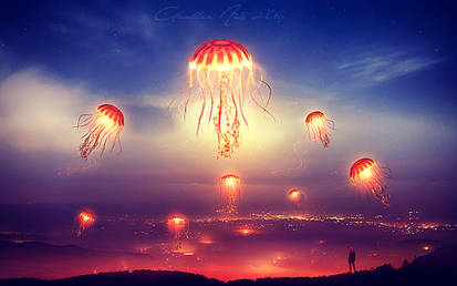 The valley of the jellyfish