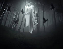 Phenomenon by CharllieeArts