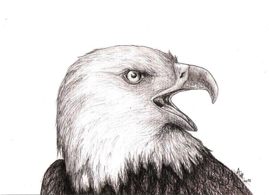 Eagle