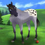 CUSTOM: Blue Roan Appy +Bonus Apple :D