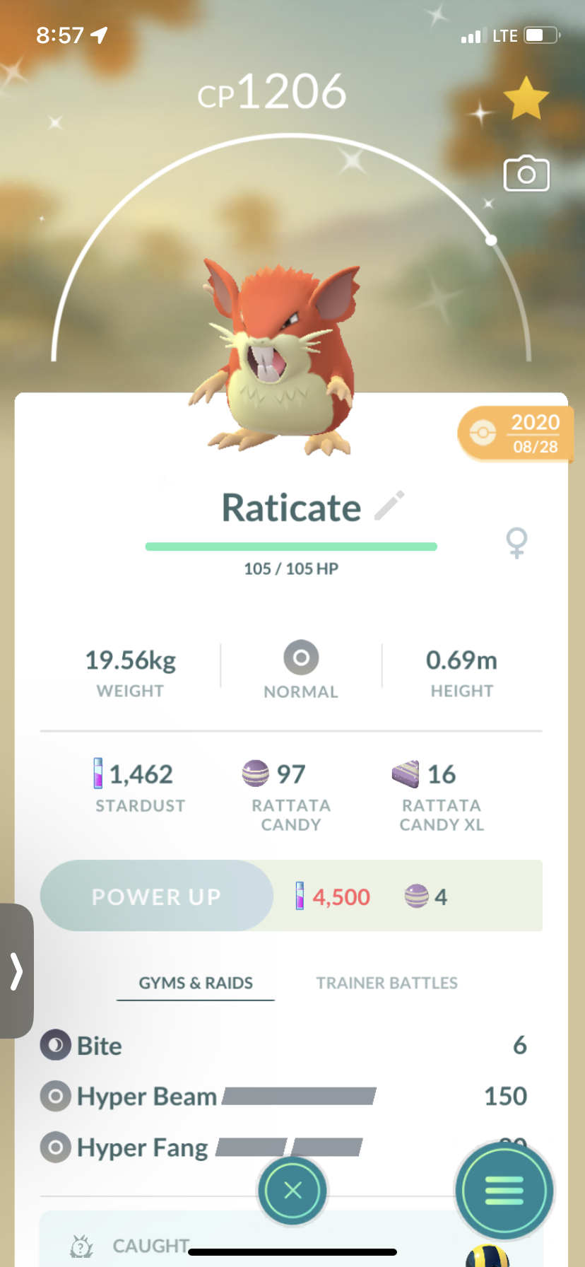 Shiny Raticazta Shiny Raticate by Haros98 on DeviantArt