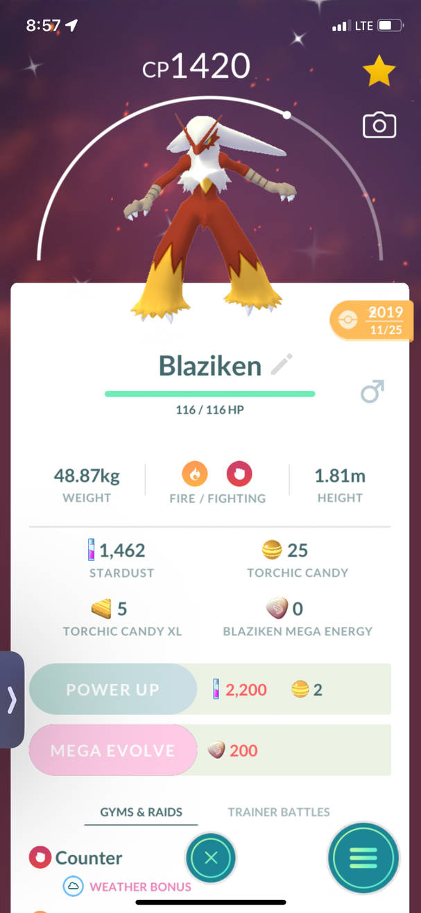Shiny Blaziken by Haros98 on DeviantArt