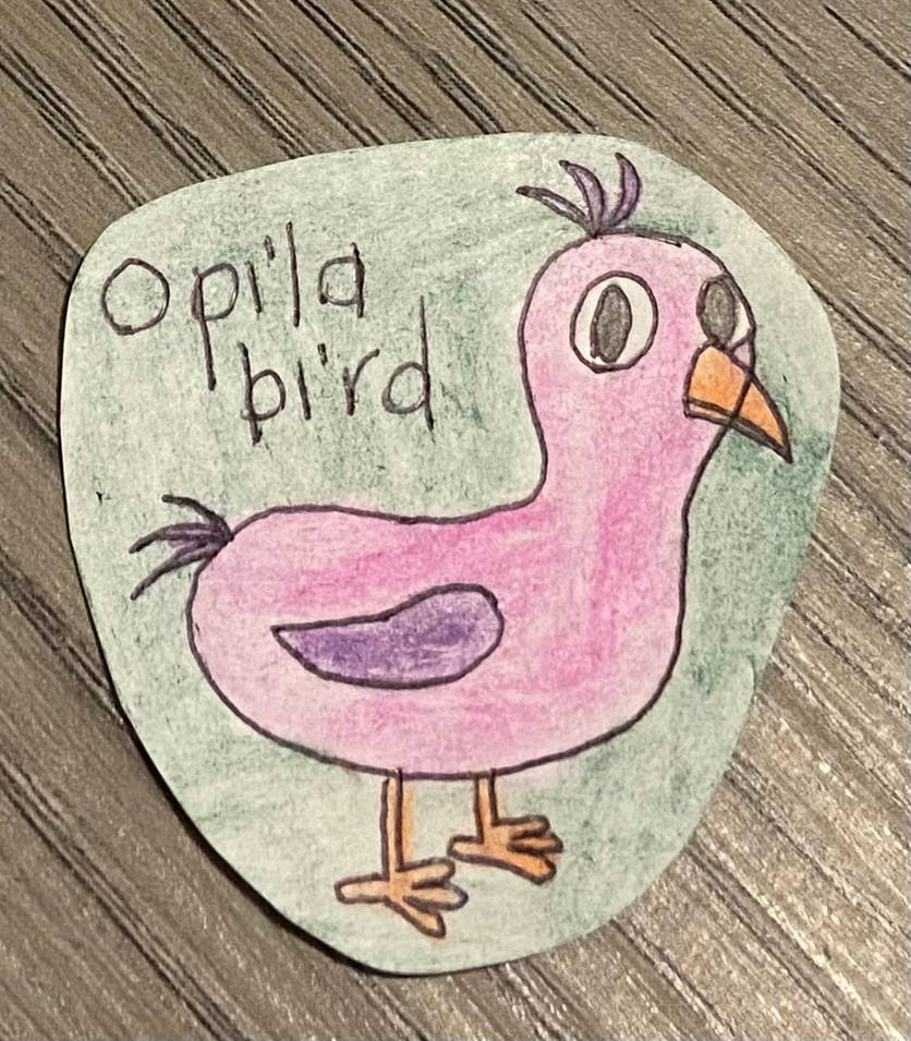 Opila Bird Doodle by ZiamondArt on DeviantArt