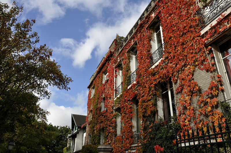 rue lepic, montmartre