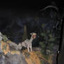 Disneyland Paris - Phantom Manor -41-