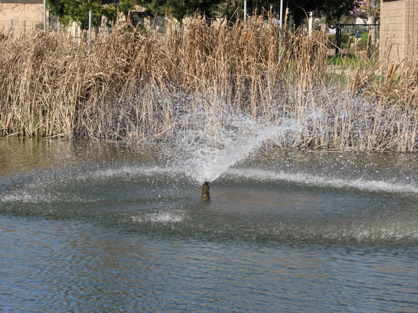 fountain1