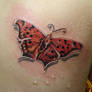 red butterfly...