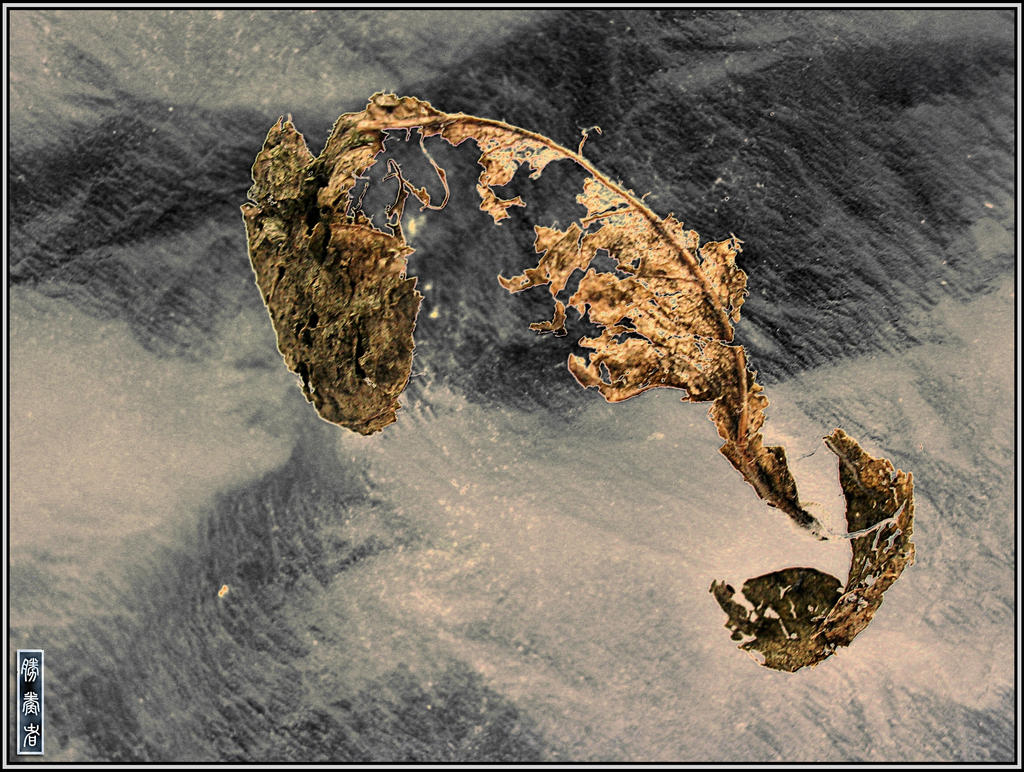 Decay by romandaom on DeviantArt