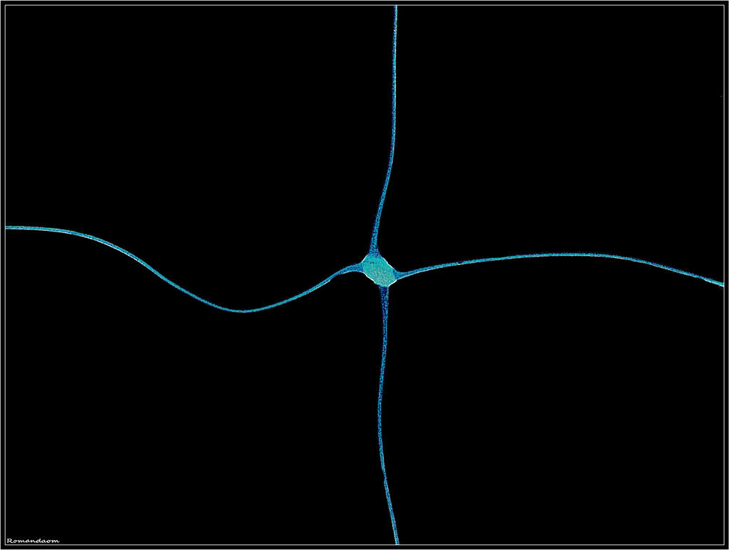 Neuron by romandaom on DeviantArt