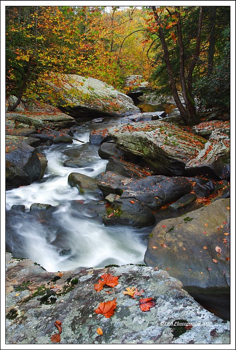 More Guest River Color