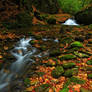 Autumn on Rocky Fork