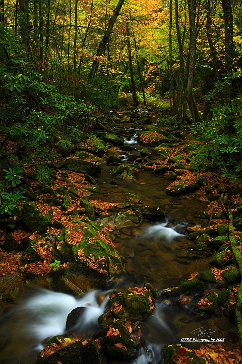 Rocky Fork Autumn