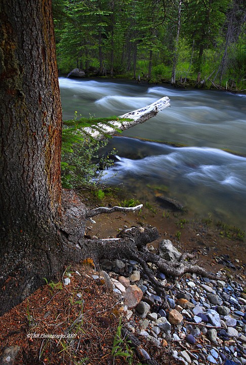 Details Along a Creek updated