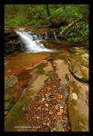 Small Fall Campbranch by TRBPhotographyLLC