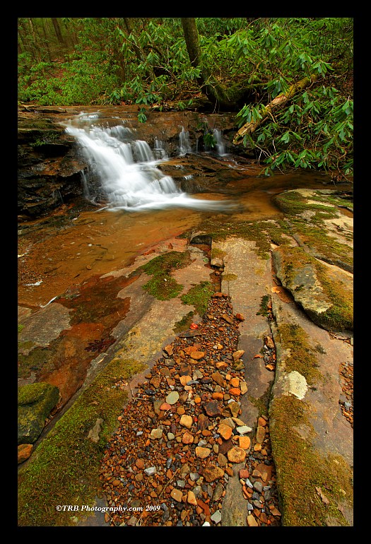 Small Fall Campbranch