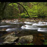 Spring Green GSMNP