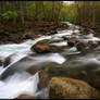 A Confluence, Mountain Streams