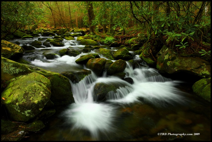 Waters of Spring, GSMNP