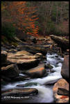 Forgotten I by TRBPhotographyLLC