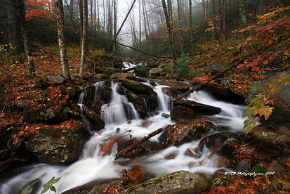 GSMNP Autumn 5