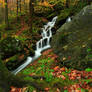 GSMNP Autumn 11