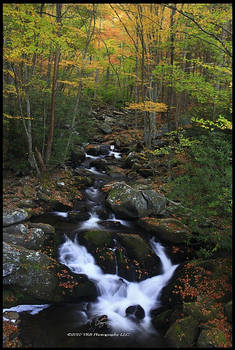 Autumn IV GSMNP 2010