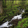 2011 Spring Part Two GSMNP