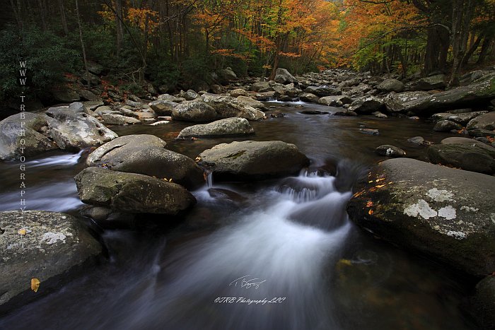 Autumn 2012 GSMNP