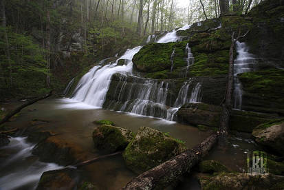 Emerald Fall