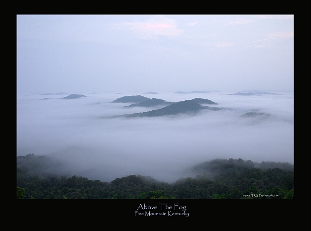 Above The Fog