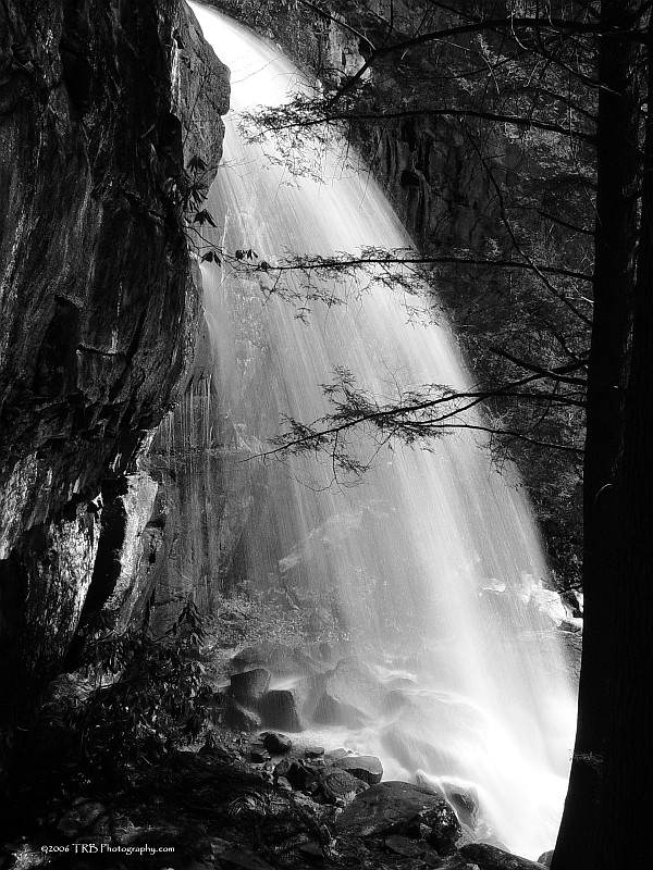 Bad Branch in Black and White