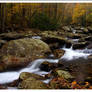 Ramsey Creek GSMNP