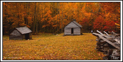 Cabin on Roaring Fork Fall 05