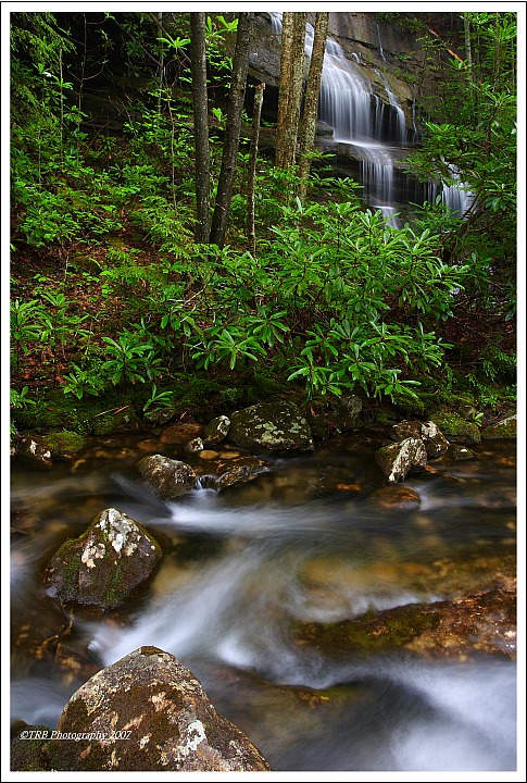 Bad Branch Nature Preserve