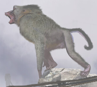Dinopithecus Deviantart Dinopithecus by ZSOMBILAND on DeviantArt