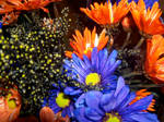 Halloween Flowers by KateMB19