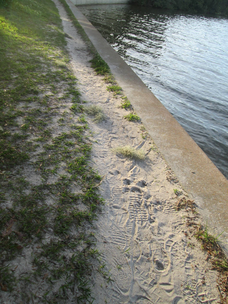 Sandy Path by KateMB19 on DeviantArt