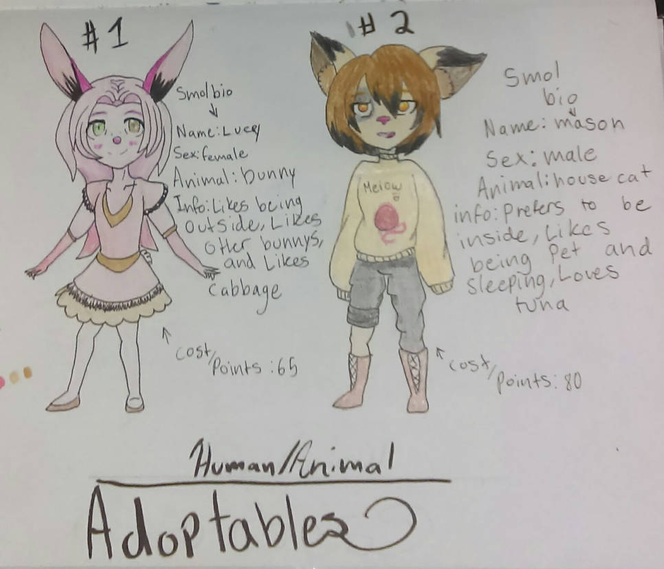 Human/Animal Adoptables open