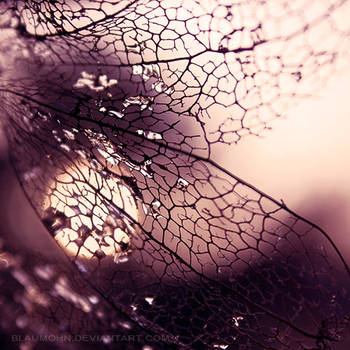 holding a heart by Blaumohn