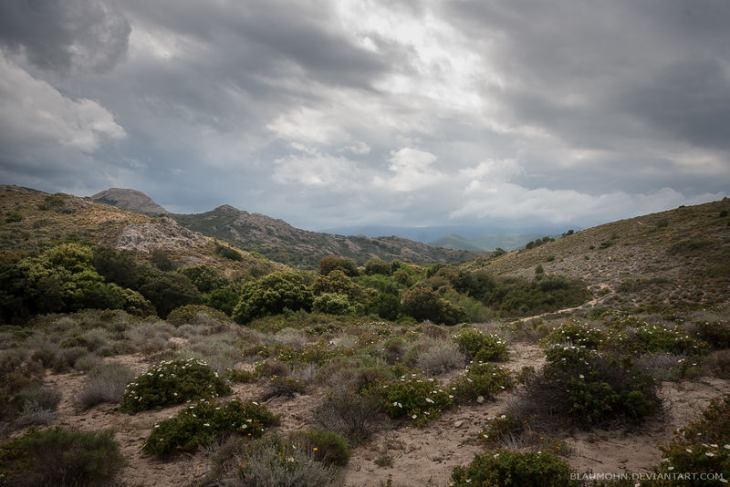 Nature Reserve Ostriccione