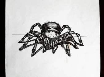 Hairy Spider 